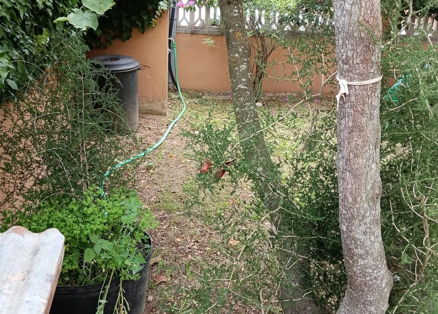Holiday home Casa Amb Gran Jardi A Vilauer-Costa Brava - Alt Emporda Vilaur